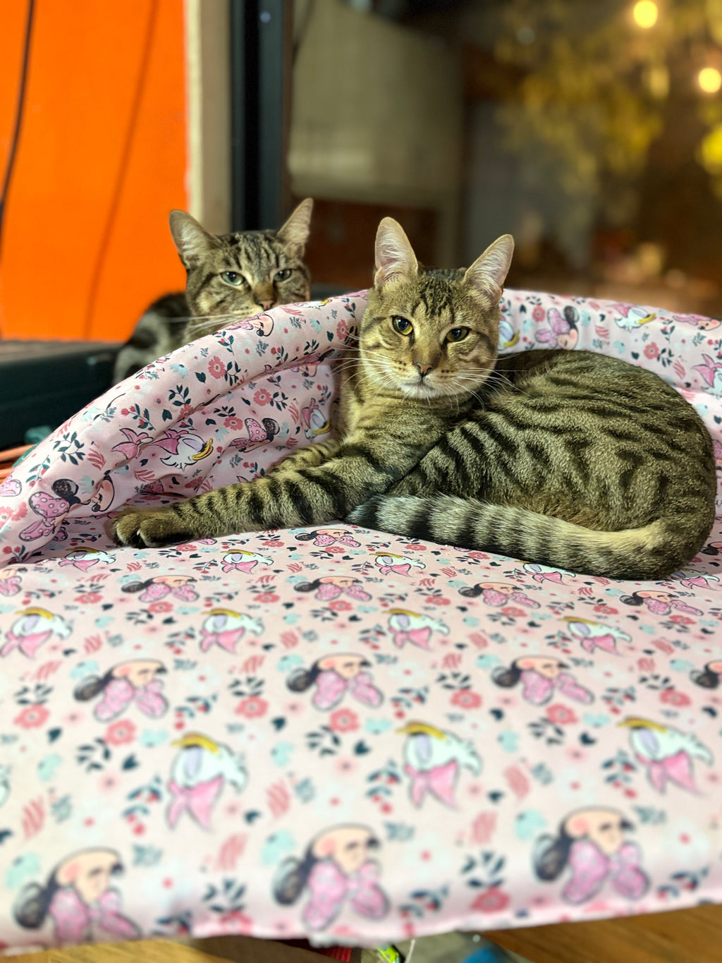 Cama Sueñitos Perro Rosa